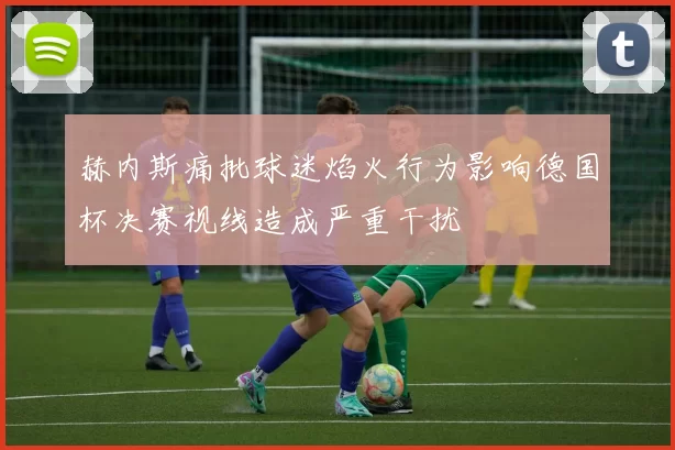 赫内斯痛批球迷焰火行为影响德国杯决赛视线造成严重干扰